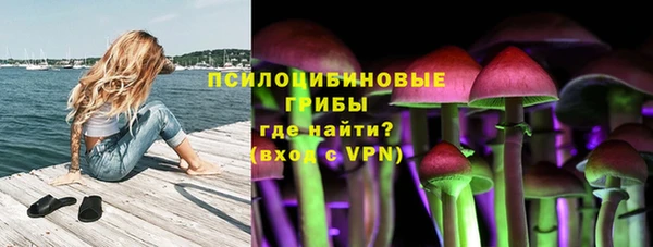 дурь Каменск-Шахтинский
