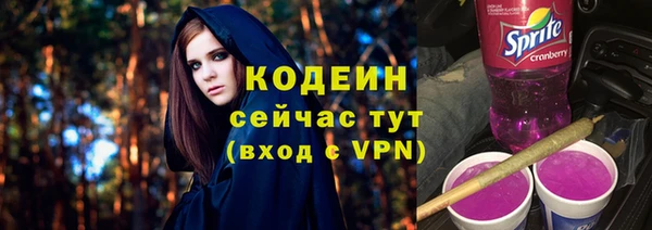 apvp Инсар