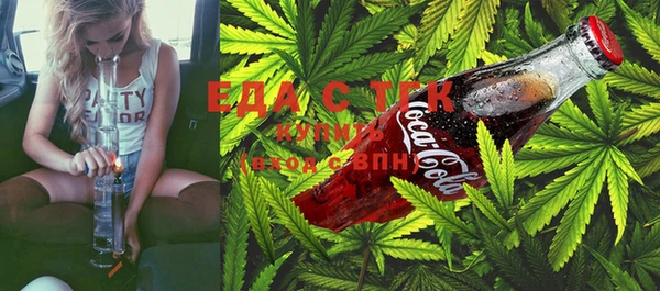 дживик Инта