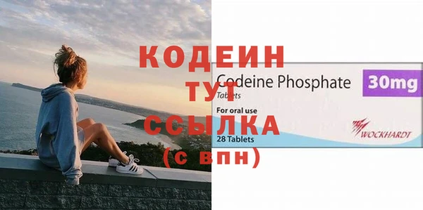дживик Инта