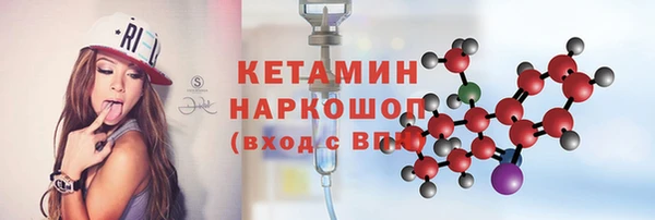 прущие грибы Каменногорск