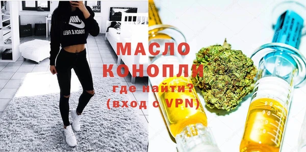 apvp Инсар