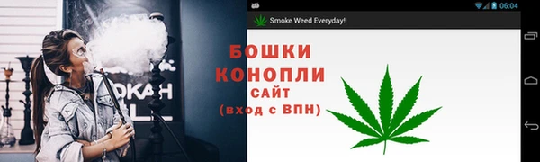 дживик Инта