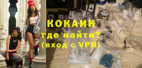 дживик Инта