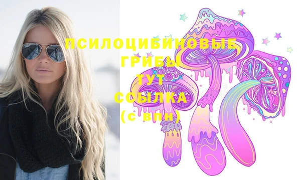 apvp Инсар