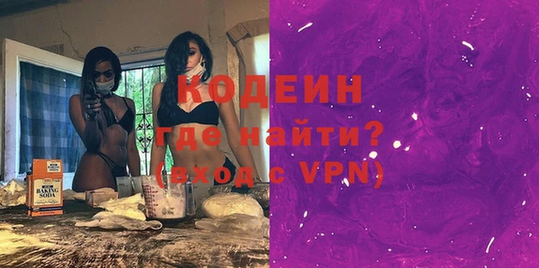дживик Инта