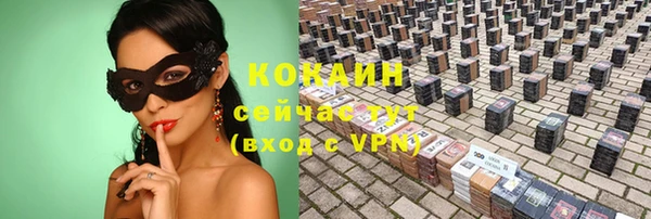 apvp Инсар