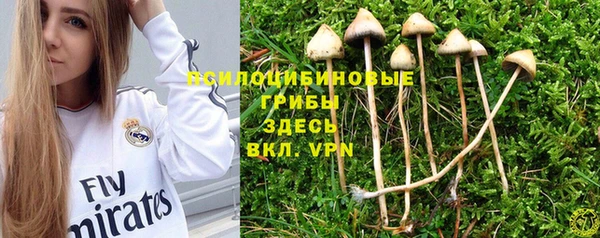 дживик Инта