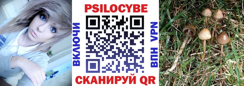 Галлюциногенные грибы ЛСД  Купить закладки  Джанкой 